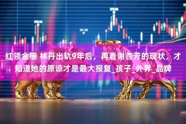 红领金服 林丹出轨9年后，再看谢杏芳的现状，才知道她的原谅才是最大报复_孩子_外界_品牌