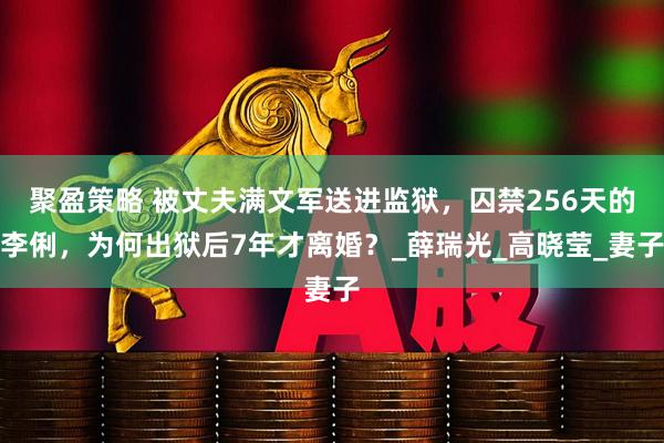 聚盈策略 被丈夫满文军送进监狱，囚禁256天的李俐，为何出狱后7年才离婚？_薛瑞光_高晓莹_妻子